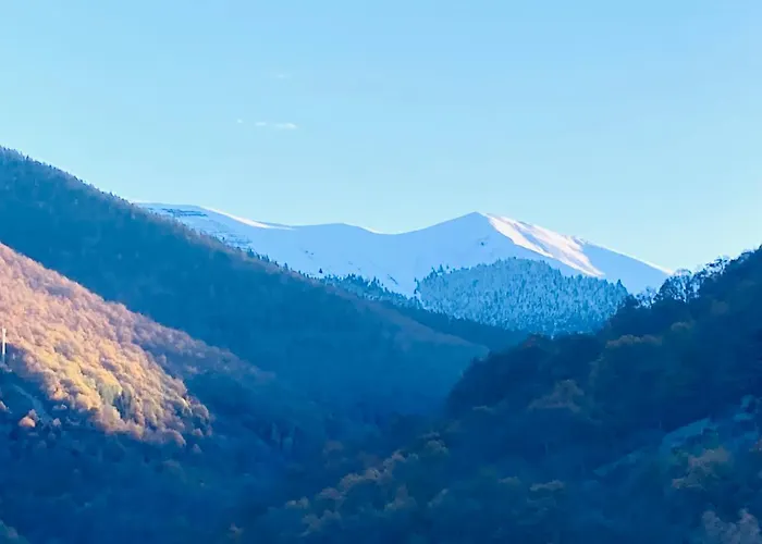 شاليه Chalet Grange Bareilles